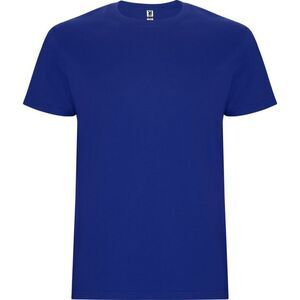 Roly Mens Stafford T-Shirt / Royal Blue